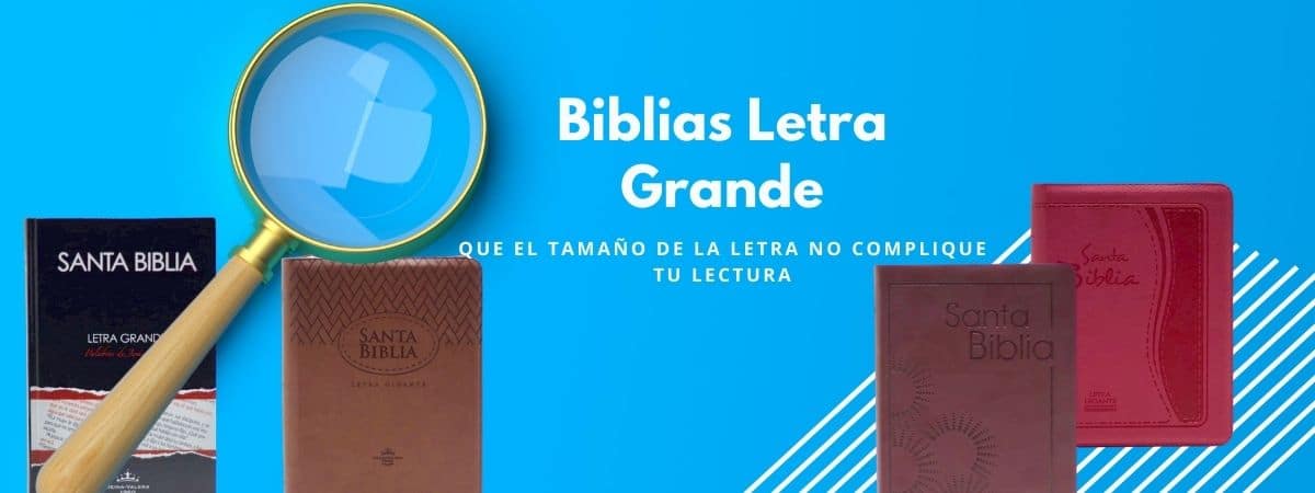 Biblias letra grande - El Salvador