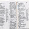 Biblia SCOFIELD El Salvador