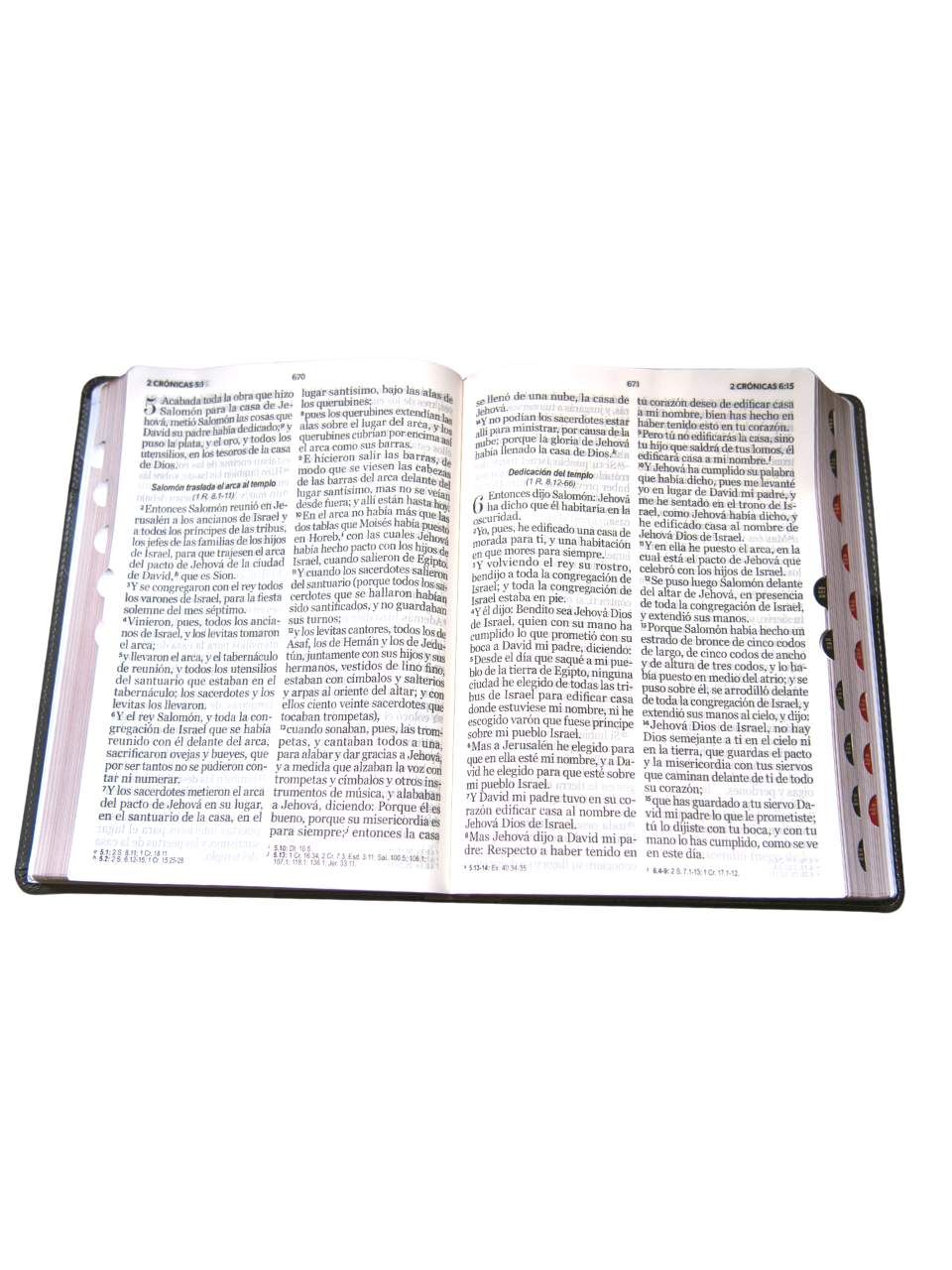 Biblia Reina Valera 1960. Biblia Pastoral Letra Super Gigante