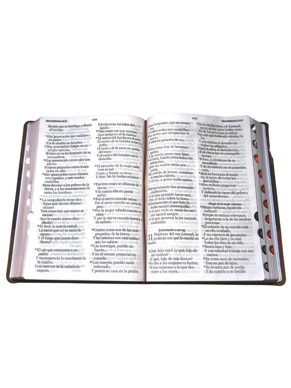 Biblia Reina Valera 1960. Biblia Pastoral Letra Super Gigante