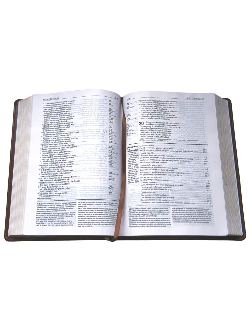 Biblia Reina Valera 1960. Biblia Pastoral Estudio Letra Grande